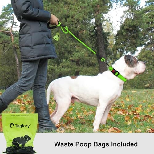 Taglory Rope Dog Leash for Medium Large Dogs, 6 FT Padded Handle - Image 2