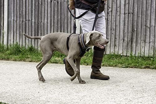 Halti No Pull Dog Harness | Size L - Image 2