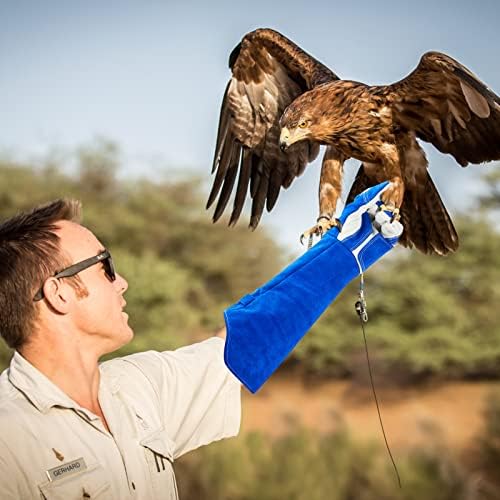 AOWPFVV Animal Handling Gloves Bite Proof - Image 6