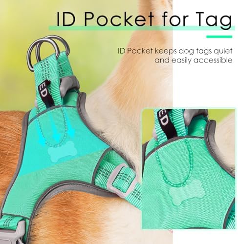 ThinkPet No-Pull Harness, Escape Proof Step-in Reflective Dog Vest Adjustable - Image 7