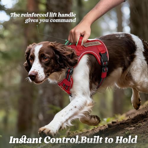 rabbitgoo Tactical Dog Harness for Large Dogs, No Pull Service Pet Vest - Image 5