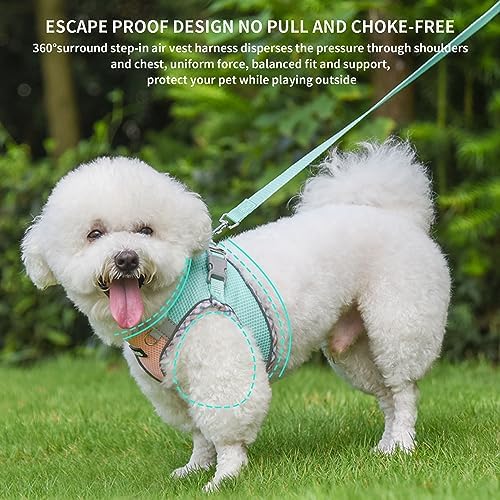 AIITLE XXS Dog Harness & Leash - Image 4