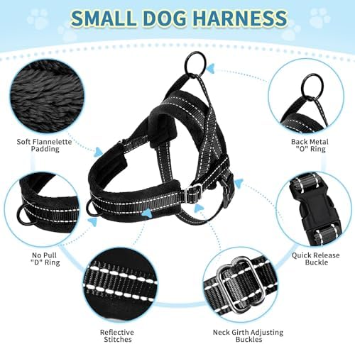 SlowTon No Pull Small Dog Harness and Leash Set - Image 6