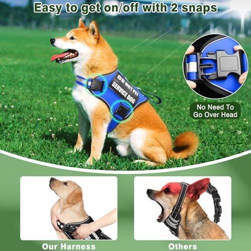 Service Dog Vest Harness and Leash Set+10 Patches, Easy Walk Blue M - Image 3