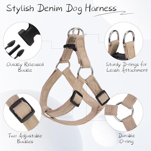 BINGPET No Pull Dog Harness and Leash Set, Adjustable Step-in Vest - Image 3