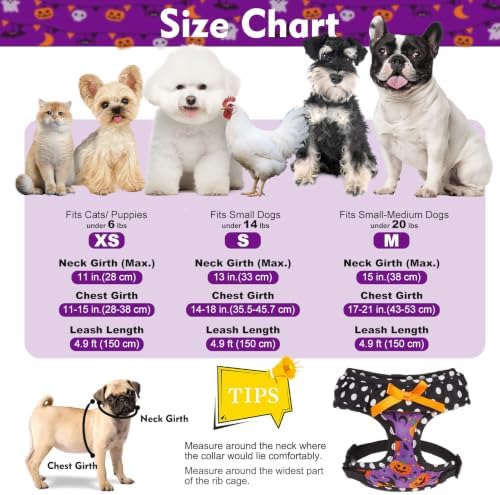 EXPAWLORER Halloween Dog Harness and Leash Set Small Sized - Image 2