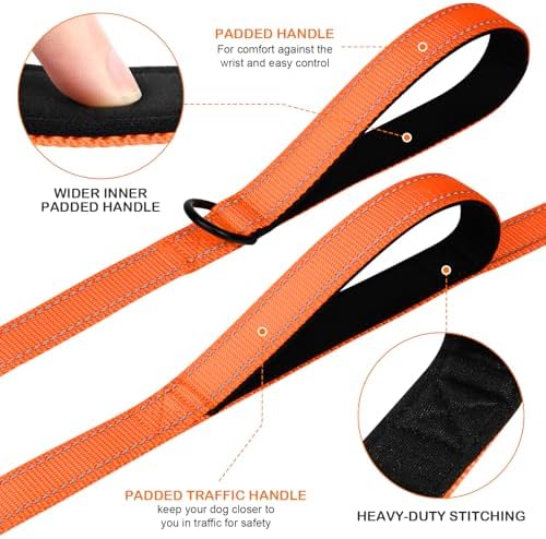 Joytale Dog Leash for Large Dogs that Pull, Double Handle - Image 2