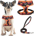 PUPTECK Halloween Dog Harness and Leash Set No Pull Small Sized Dogs Puppy by PUPTECK