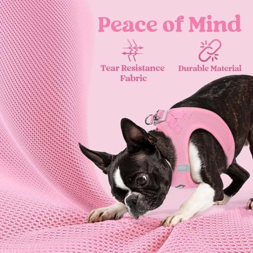 rabbitgoo Step-in Small Dog Harness, Puppy Vest - Image 4