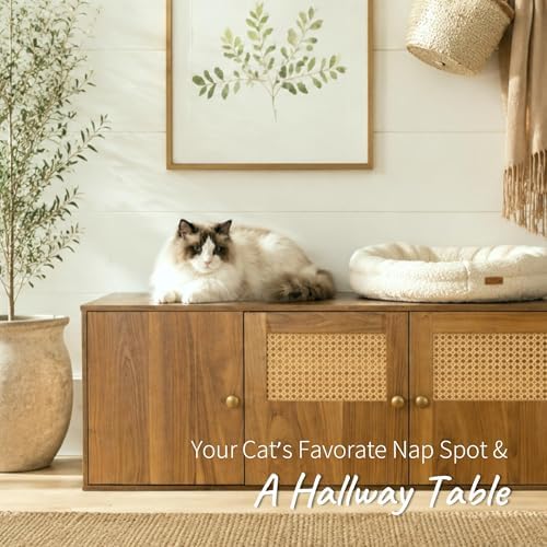 Cat Litter Box Enclosure Furniture - Image 3