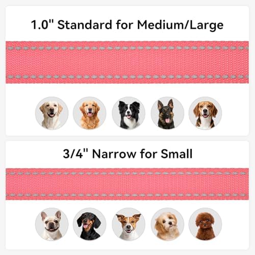 Joytale Reflective Dog Leash for Medium & Large Dogs, 6 FT x 1", Neon Pink - Image 6