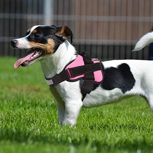 Bolux Dog Harness, No-Pull Reflective Dog Vest, Breathable Adjustable Pet - Image 4