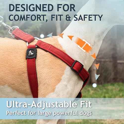 Kruz No Pull Dog Harness Heavy-Duty Pet Harness - Image 6