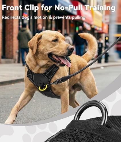 Joytale No Pull Dog Harness for Large Dogs, Front Clip - Image 2