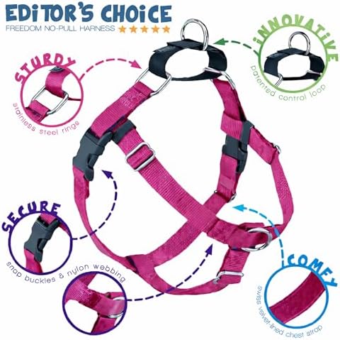 2 Hounds Design Freedom No Pull Dog Harness, 1 inch LG - Image 4