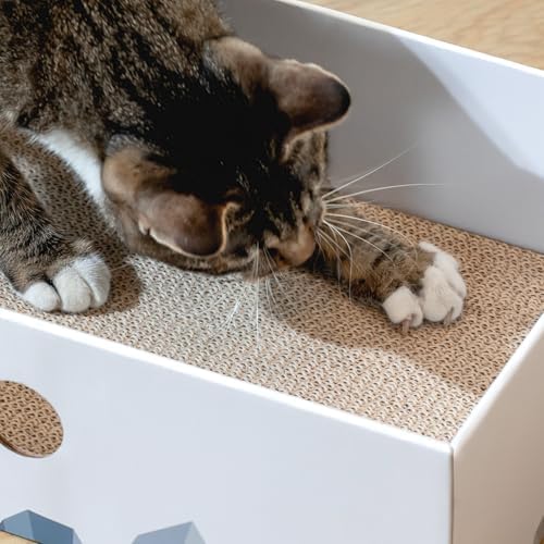 Conlun Cat Scratcher Box, Cardboard Pad, Bed - Image 5