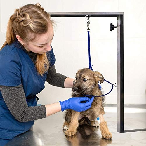 Jelly Pet Grooming Loop for Dogs, Groomers Helper, BioThane Material is Easy to - Image 2