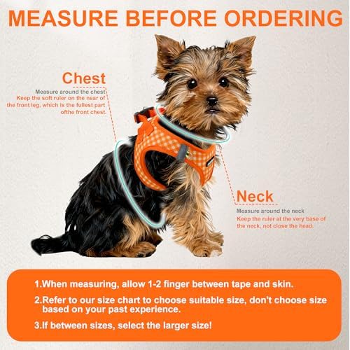 AIITLE Step in Small Dog Harness and Leash Set, Puppy Pet Vest - Image 3