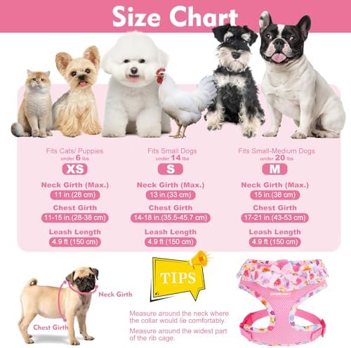 EXPAWLORER Step-in Dog Harness Small Sized and Leash Set - Image 2