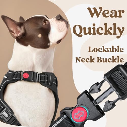 rabbitgoo Dog Harness for Large, Updated Easy On & Off - Image 2