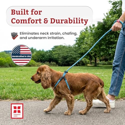Harness Lead No Pull Dog Harness and Leash Set, Anti Pull Dog Harness - Image 4