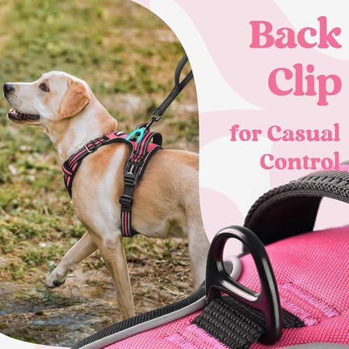 rabbitgoo Dog Harness Medium Sized, Updated Easy On & Off - Image 6