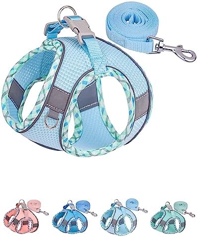 Petank Step in Dog Harness No Pull and Leash by PetankCareforEveryPaw