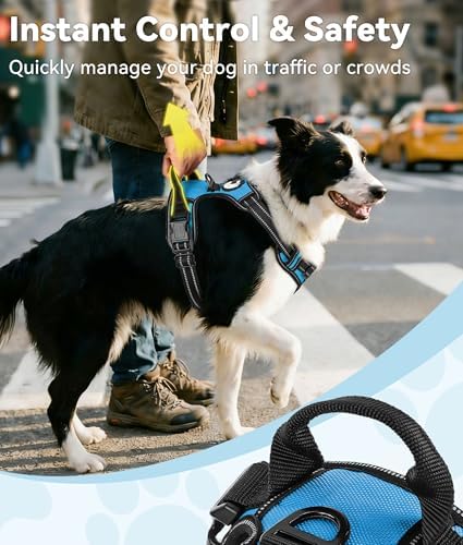 Joytale No Pull Dog Harness Medium Sized Dog, Front Clip, Sky Blue - Image 3