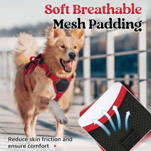rabbitgoo Escape Proof Dog Harness - Image 6