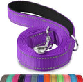 Joytale Reflective Dog Leash for Medium & Large Dogs, 5 FT x 1" by Joytale