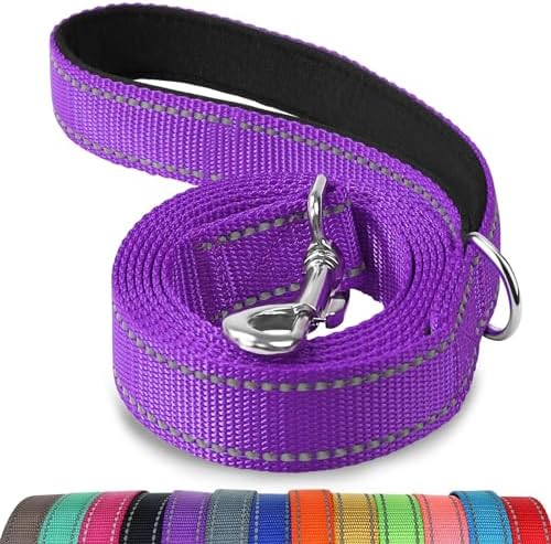 Joytale Reflective Dog Leash for Medium & Large Dogs, 6 FT x 1" by Joytale