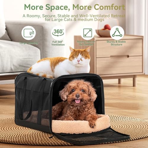 Petsfit Large Cat Carrier for Car Travel, Patented Seat Belt Buckle, 20 lb - Image 5