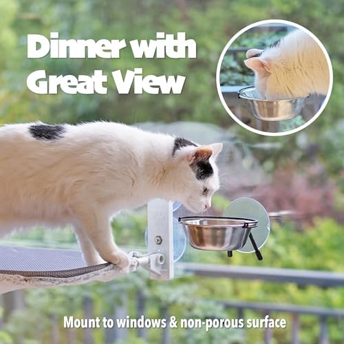 PETKARAY Window Bowls for Indoor Cats, 12 Ounces Food Bowl for Window, Dog - Image 5