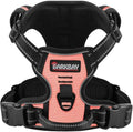 BARKBAY Dog Harness for Small Sized Dog No Pull 2 Leash Clips Dog Vest by BARKBAY