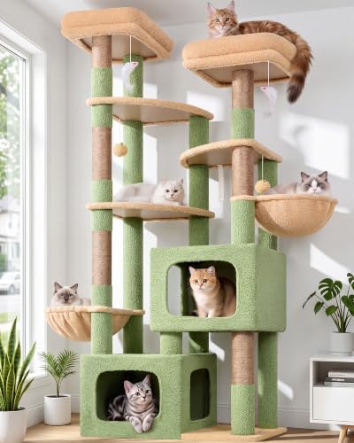 Globlazer S74E Pro Cactus Heavy Duty Maine Coon Cat Tree by Globlazer