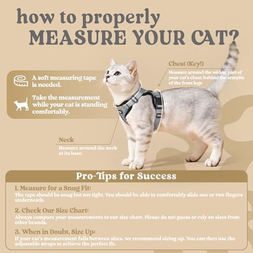 rabbitgoo Cat Harness and Leash Set, Escape Proof Vest - Image 2