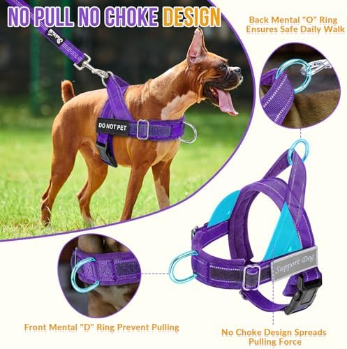Lukovee No Pull Dog Harness and Leash Set, Soft Padded - Image 2