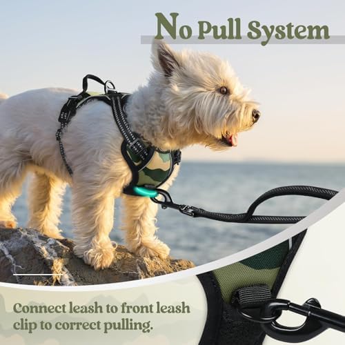 rabbitgoo Dog Harness, No Pull for Small Dogs - Image 5