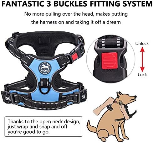 PoyPet No Pull Dog Harness Large - Image 2