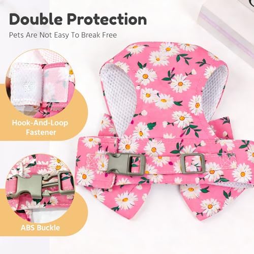 BAEJMJK Dog Harness and Leash Set - Image 6