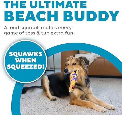 Outward Hound by Charming Pet Squawkers Henrietta Latex Squeaky Rubber Chicken - Image 2