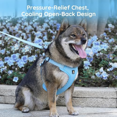 BELLA & PAL Adjustable Step-in Dog Harness, Puppy No-Pull Vest - Image 6
