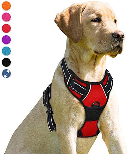 BARKBAY Dog Harness No Pull for Small Sized Dog Front Back Clips, Dog Vest by BARKBAY