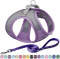 AIITLE Medium Dog Harness and Leash Set, Step-in Puppy Pet Vest by AIITLE-FORPETSBETTERLIFE