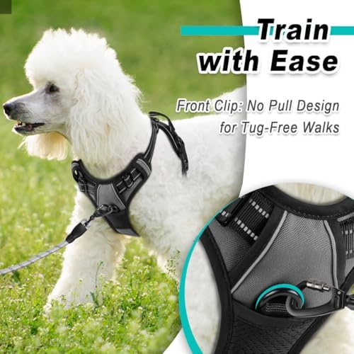 BARKBAY Dog Harness for Small Sized Dog No Pull 2 Leash Clips Dog Vest - Image 2
