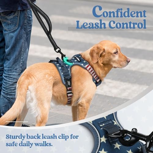 rabbitgoo Dog Harness, No Pull Medium Sized - Image 6