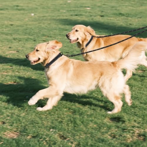 Taglory Double Dog Leash Coupler - Image 7