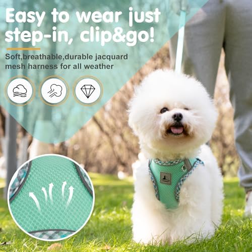 Dog Harness and Leash Set, No Pull Pet Harness - Image 2