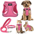 GAMUDA Small Pet Harness Collar and Leash Set, Step in No Chock No Pull Linen by GAMUDACollarsCollection
