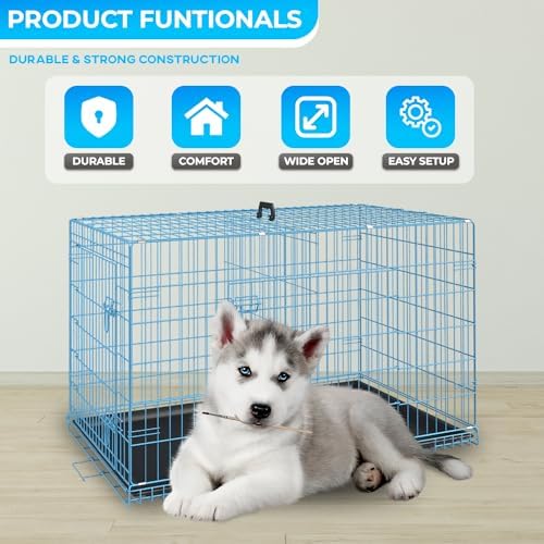 FDW | 30" Foldable Metal Dog Crate | Blue | Cage - Image 2